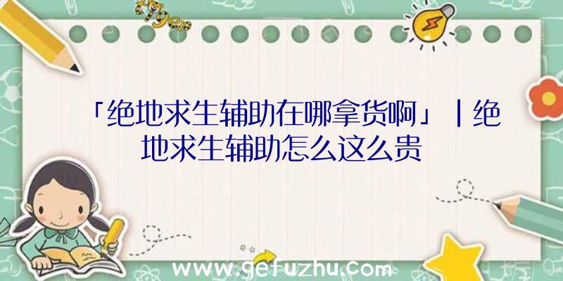 「绝地求生辅助在哪拿货啊」|绝地求生辅助怎么这么贵